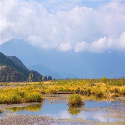 改善水域水质 无锡今年将投入113.6亿元治理太湖